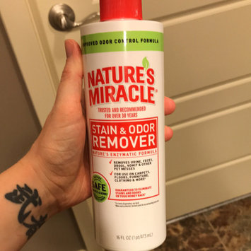 Photo of Nature's Miracle® Original Stain and Odor Remover uploaded by Megan W.