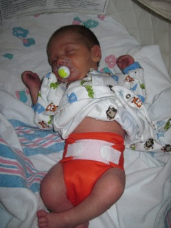 Photo of Bumgenius Cloth Diapers uploaded by Renee S.