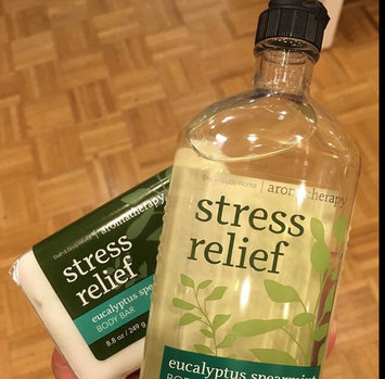 Photo of Bath Body Works Bath and Body Works Aromatherapy Eucalyptus Spearmint Stress Relief Pillow Mist 5.3 oz uploaded by H Y.