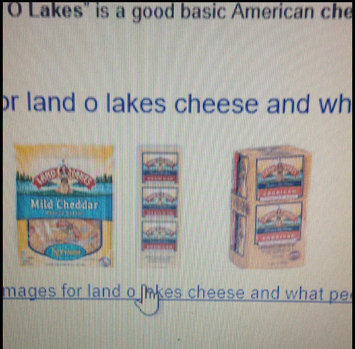 Photo of Land O' Lakes Cheddease 270 T/C Powder uploaded by leanna b.