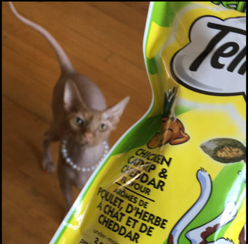 Photo of TEMPTATIONS™ MixUps Treats For Cats Catnip Fever Cat Treats uploaded by Christine L.