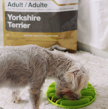 Photo of Royal Canin® Yorkshire Terrier 28™ Adult Dog Food 10 lb. Bag uploaded by Kara D.