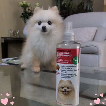 Photo of GNC Pets Detangling Conditioner Dog Spray uploaded by Jan a.