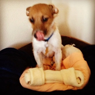 Photo of Humane Society of the United States uploaded by Christina B.