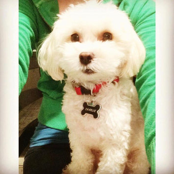 Photo of ASPCA uploaded by Deanna K.