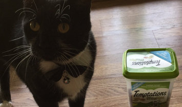 Photo of TEMPTATIONS™ MixUps Treats For Cats Catnip Fever Cat Treats uploaded by Michelle S.
