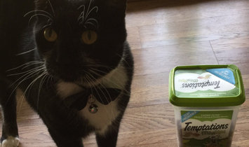 Photo of TEMPTATIONS™ MixUps Treats For Cats Catnip Fever Cat Treats uploaded by Michelle S.