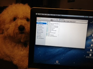 Photo of Dropbox uploaded by Miranda L.