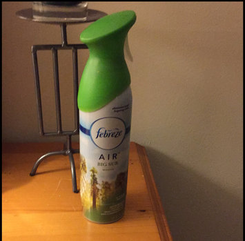 Photo of Air Effects Febreze Air Effects Big Sur Woods Air Freshener (2 Count, 19.4 oz) uploaded by Jessica E.