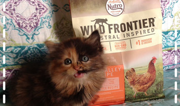 Photo of Nutro™ Wild Frontier™ Kitten Open Valley Recipe Cat Food 32 oz. Bag uploaded by Linden C.