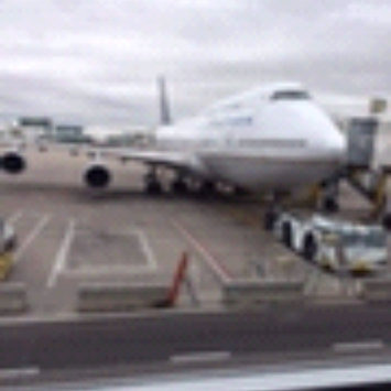 Photo of United Airlines uploaded by Martha K.