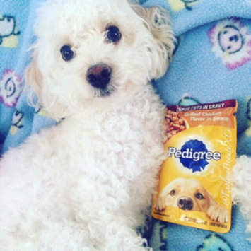 Photo of Pedigree® Choice Cuts in Gravy Grilled Chicken Flavor in Sauce Wet Dog Food uploaded by Anna M.