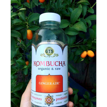 Photo of GT's Raw Organic Kombucha Gingerade uploaded by Samantha Q.