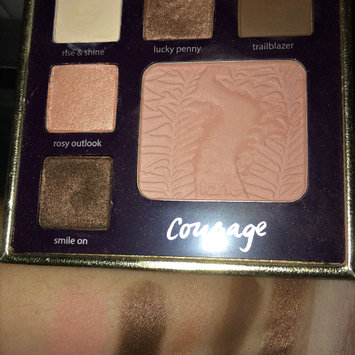 Photo of tarte Double Duty Beauty Day/Night Eye & Cheek Palette uploaded by Dana B.
