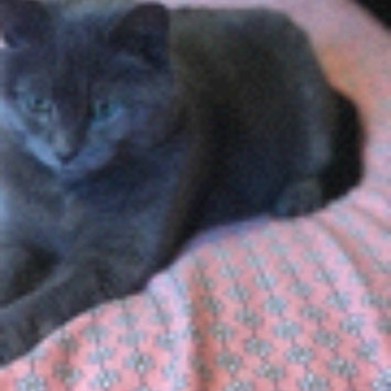 Photo of Sheba® Salmon Flavor Meaty Tender Sticks Cat Treats 5-0.14 oz. Sticks uploaded by Laura H.