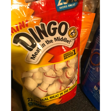 Photo of Dingo Meat in the Middle uploaded by Jadiena D.
