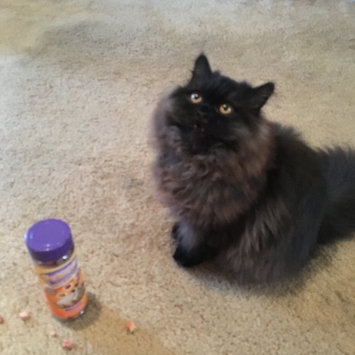 Photo of Pounce Moist Cat Treats uploaded by Ely A.
