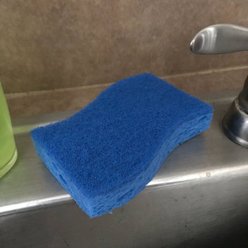 Photo of Scotch-Brite Basic Non-Scratch Scrub Sponge uploaded by Erica H.