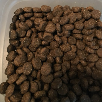 Photo of Phillips Feed & Pet Supply Zignature Trout & Salmon Formula uploaded by Lynn B.