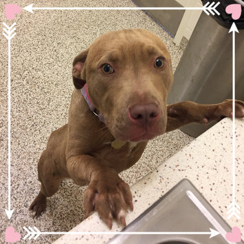 Photo of Humane Society of the United States uploaded by Sophie F.