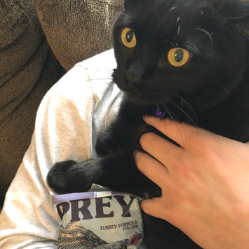 Photo of Taste of the Wild PREY Turkey Formula for Cats uploaded by McKenzie B.