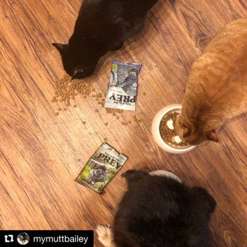 Photo of Taste of the Wild PREY Turkey Formula for Cats uploaded by Jacklyn T.