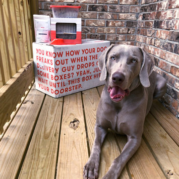 Photo of Ollie uploaded by Taylor K.