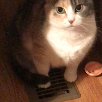 Photo uploaded to Fancy Feast Grilled Gourmet Cat Food by Dianna W.