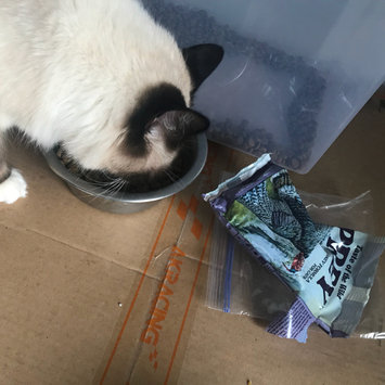 Photo of Taste of the Wild PREY Turkey Formula for Cats uploaded by Nikkk R.