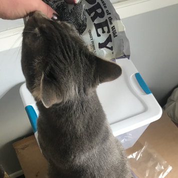 Photo of Taste of the Wild PREY Turkey Formula for Cats uploaded by Nikkk R.