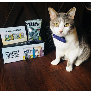 Photo of Taste of the Wild PREY Turkey Formula for Cats uploaded by Jennifer K.