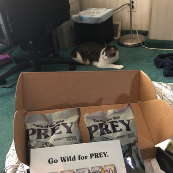 Photo of Taste of the Wild PREY Turkey Formula for Cats uploaded by Lauren C.