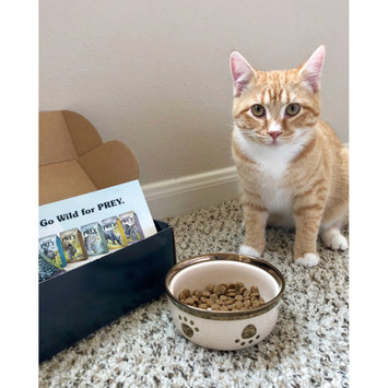Photo of Taste of the Wild PREY Turkey Formula for Cats uploaded by Silvia ♡.