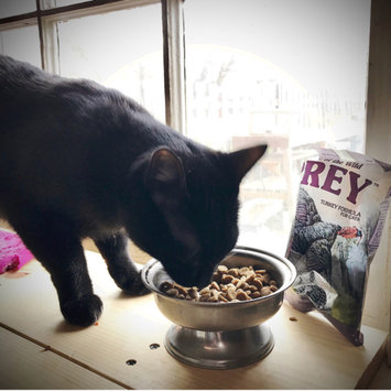 Photo of Taste of the Wild PREY Turkey Formula for Cats uploaded by Ashley A.