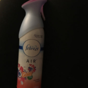 Photo of Air Effects Febreze® Air Effects Gain® Moonlight Breeze Air Freshener (2 Count, 19.4 oz) uploaded by Sabrina K.