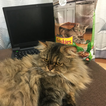 Photo of Friskies® Indoor Delights Cat Food uploaded by Mae B.