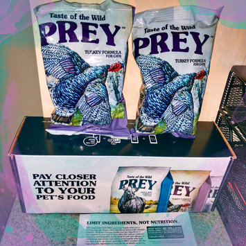 Photo of Taste of the Wild PREY Turkey Formula for Cats uploaded by Jenna Q.