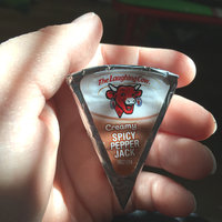 The Laughing Cow® Creamy Spicy Pepper Jack Cheese Wedges 8-.75 oz