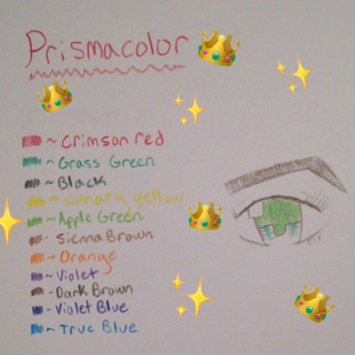 Photo of Sanford Prismacolor Premier Colored Pencils Set uploaded by Hope B.