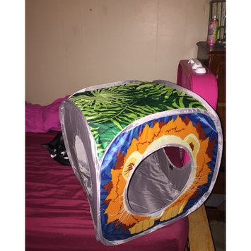 Photo of Sportpet Design Sportpet Lion Play Cube uploaded by Taylor F.