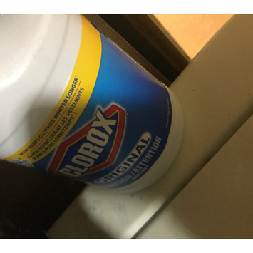 Photo of Clorox Concentrated Regular Bleach uploaded by ℳ a.