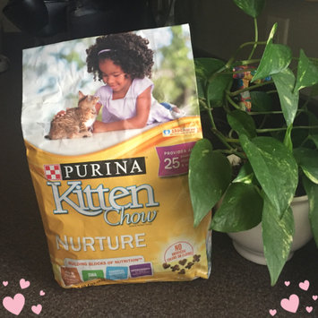 Photo of Purina Kitten Chow PurinaA Kitten ChowA Nurture Kitten Food uploaded by Amber U.