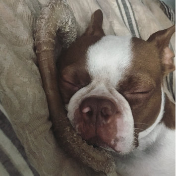 Photo of Benebone Rotisserie Chicken Flavored Wishbone Dog Chew Toy uploaded by Maya A.