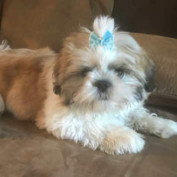 Photo of Chi® Oatmeal Dog Shampoo uploaded by Lyndsey G.