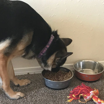 Photo of Wellness® Core® Simply Shreds Dog Food Topper - Natural, Grain Free, Chicken, Beef and Carrots size: 2.8 Oz uploaded by Adriana C.