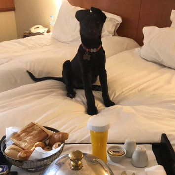Photo of Sofitel uploaded by Christine s.