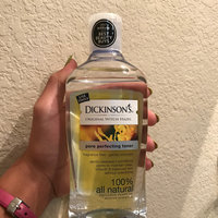 toner hazel witch dickinson perfecting pore
