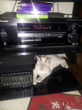 Photo of Pounce Cat Treats uploaded by Fran E.