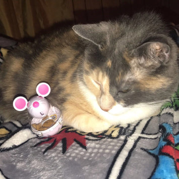 Photo of TEMPTATIONS™ Snacky Mouse Cat Toy uploaded by Elizabeth R.