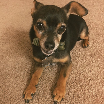 Photo of Greenies Hip & Joint Care Dental Chew, Teenie, 6 oz uploaded by Natalia V.